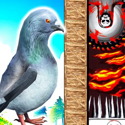 Pigeon Rescue - escape game Cheats