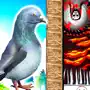 Pigeon Rescue - escape game