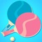 Icon Table Tennis Master 3D