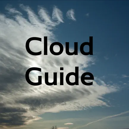 Field Guide to Clouds Cheats