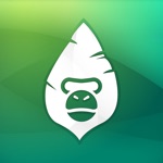 Download Jungle Gym Hub app