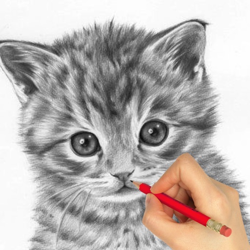 How to Draw Animals by Steps iOS App