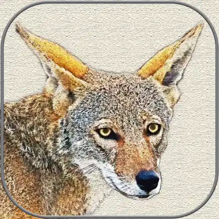 Canvas Art - Photo Filter Читы