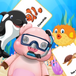Ocean Animal