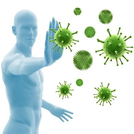 Immunsystem Quiz Читы