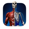 Anatomical Atlas of Human Body icon