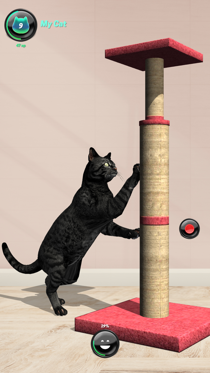 My Cat AR Real Cat Simulator