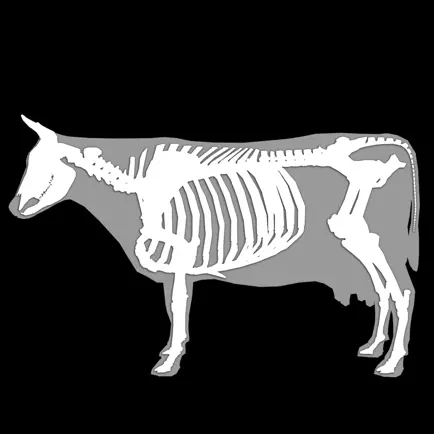 3D Bovine Anatomy Cheats