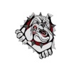 Cooper ISD, TX icon