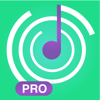 Ear Pro - training & exercises - Dmitry Zaika