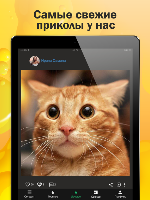 Screenshot #6 pour ГыГы Приколы - короткие видео