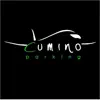 CuminoParking Positive Reviews, comments