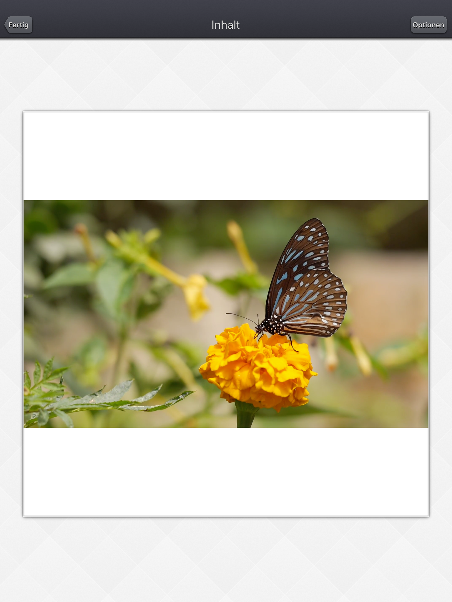 https://is1-ssl.mzstatic.com/image/thumb/Purple126/v4/7e/36/ef/7e36ef0b-2894-b538-caa8-8a82b051996e/pr_source.png/1536x2048.png