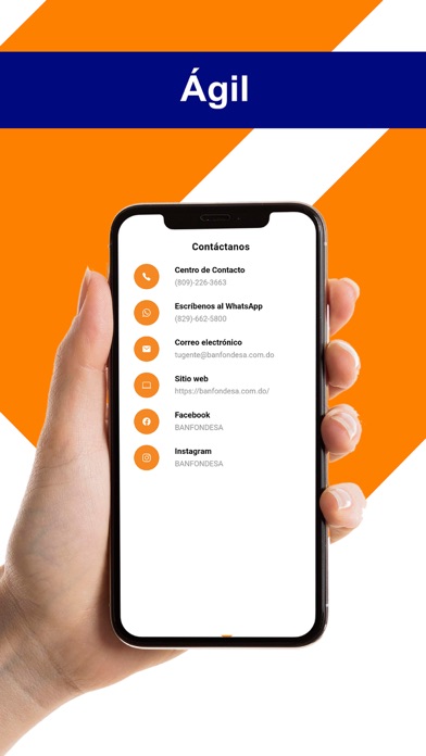 Banfondesa Screenshot