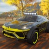 Off Road Car Driving Sim 2022 icon