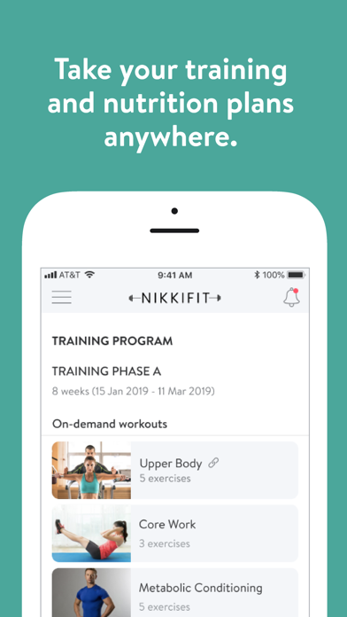 NikkiFIT Screenshot