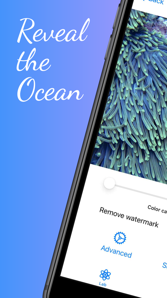 SeaReal: Dive Photo Editor - 1.16.6 - (iOS)