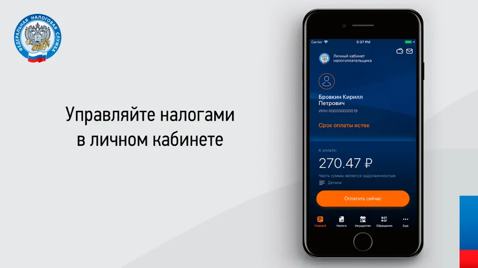 Скриншот Налоги ФЛ на iPhone 2