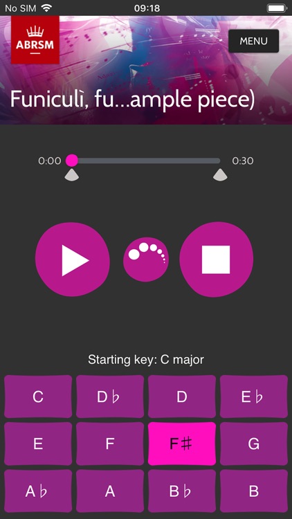 ABRSM Singing Practice Partner screenshot-0