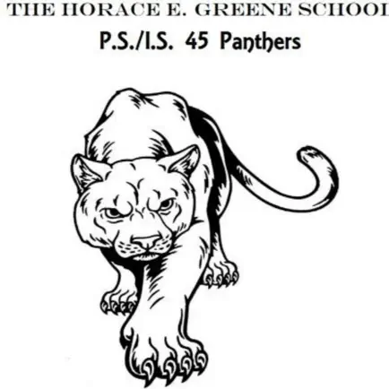 P.S./I.S. 45 Horace E. Green Читы