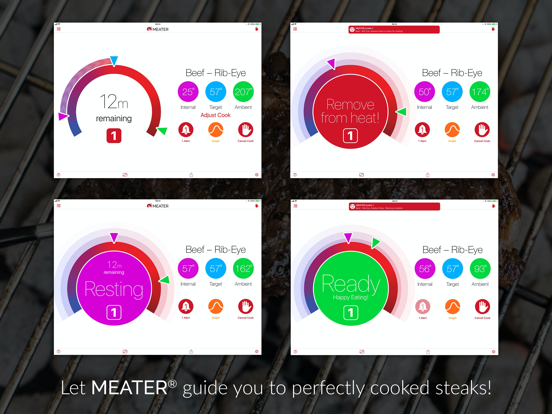 MEATER® Smart Meat Thermometerのおすすめ画像3