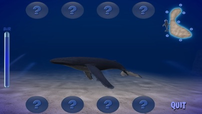 Humpback Whale Screenshot
