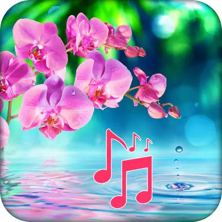 Stay Calm - Relaxing Melodies Cheats