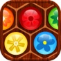 Hexa Puzzle™ app download