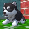 Cute Pocket Puppy 3D - iPadアプリ