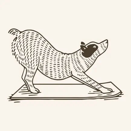 Find What Feels Good Yoga Читы