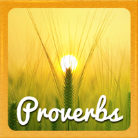 Proverbs and Phrases Collection