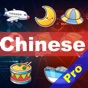 Fun Chinese Flashcards Pro app download