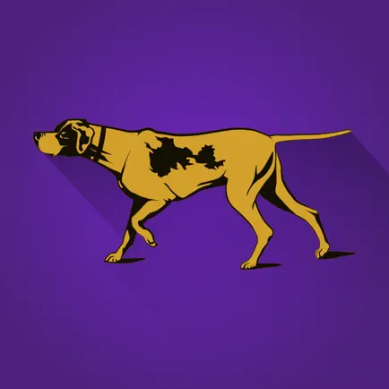Westminster Dog Show Читы