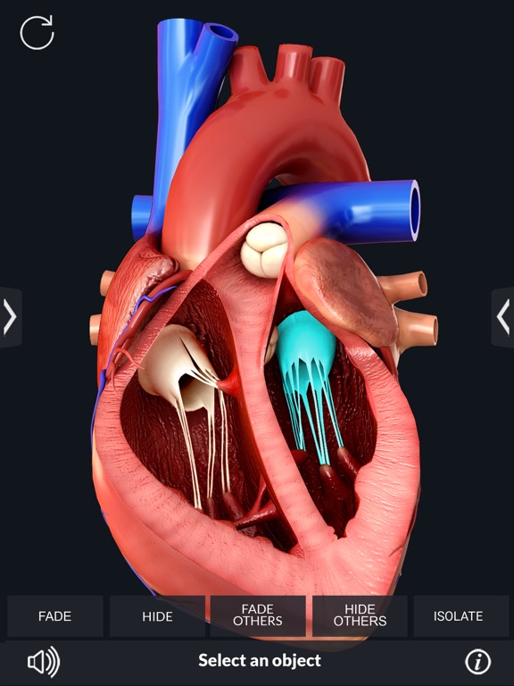 My Heart Anatomyのおすすめ画像2