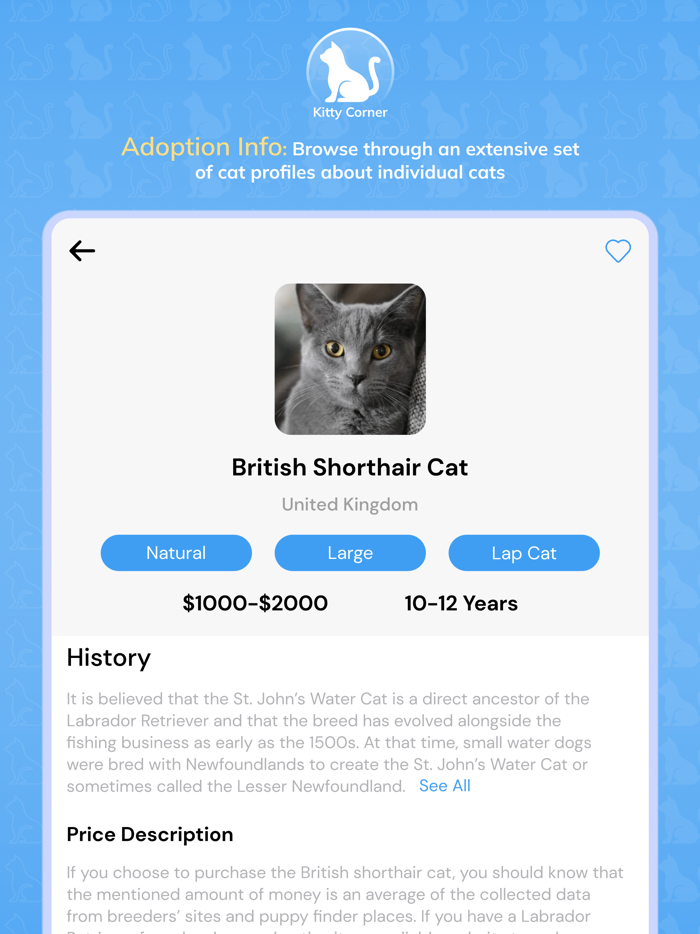KittyCorner Facts and Info