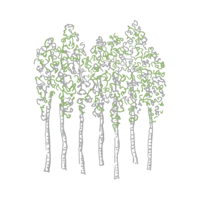 AtlasFive-1888management