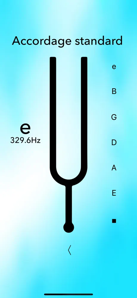 Accordeur Guitare Électrique L