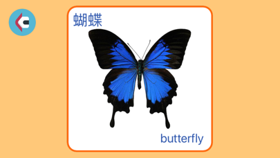 Kids' Encyclopedia-flashcards Screenshot