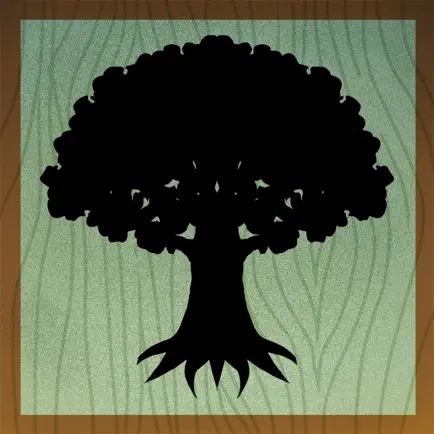 Evertree Inn Читы