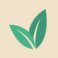 Topical Memory System