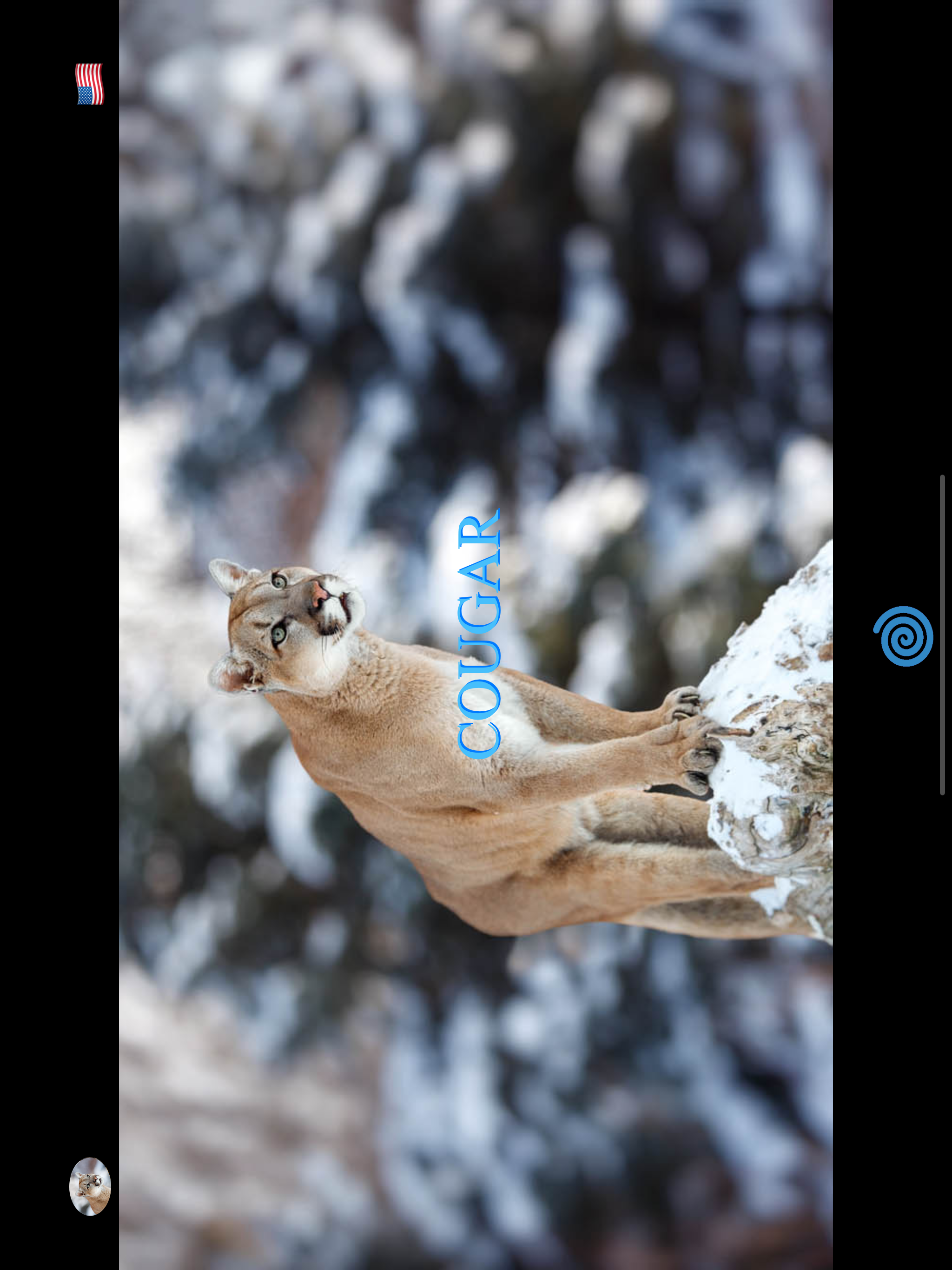 Animal Pad Sounds screenshot 7