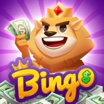 Bingo King - Fight For Cash