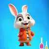 Rabbit-Runner icon