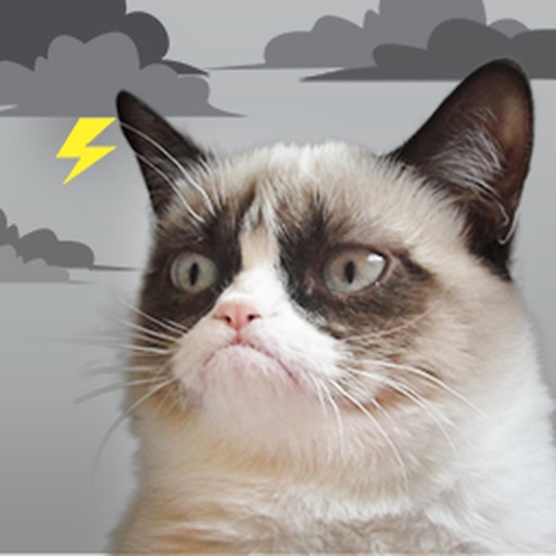 Grumpy Cat's Funny Weather Icon