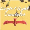 Eagle Flight Simulator