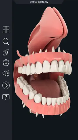 Game screenshot My Dental Anatomy hack