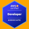 AWS Developer Associate Test icon