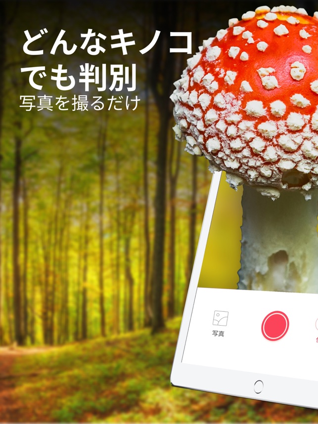 Picture Mushroom - 1秒キノコ図鑑」をApp Storeで