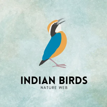 Indian Birds Cheats
