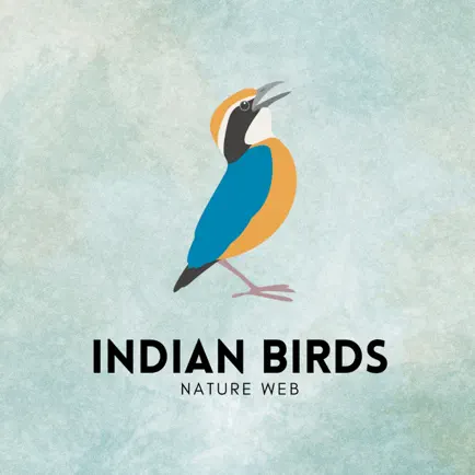 Indian Birds Читы